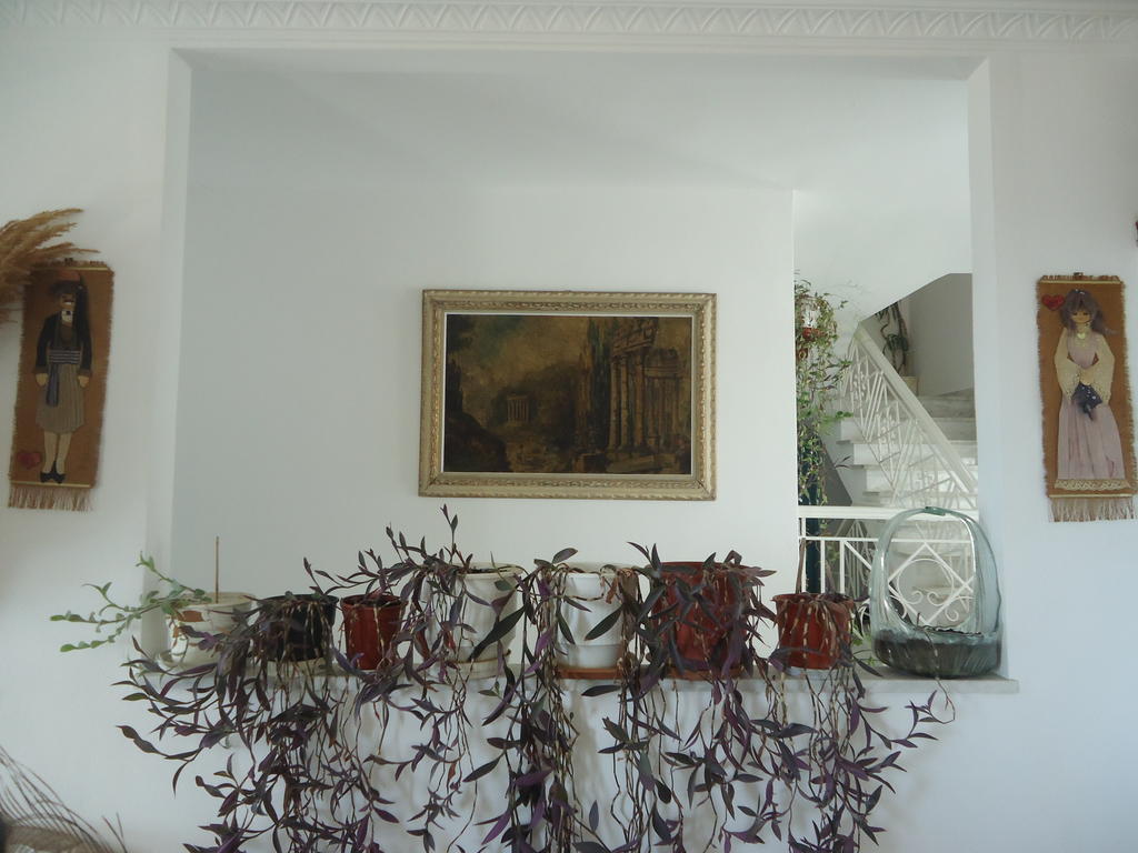 Zorbas Hotel Pythagorion Dış mekan fotoğraf